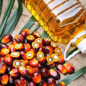 Palm Oil