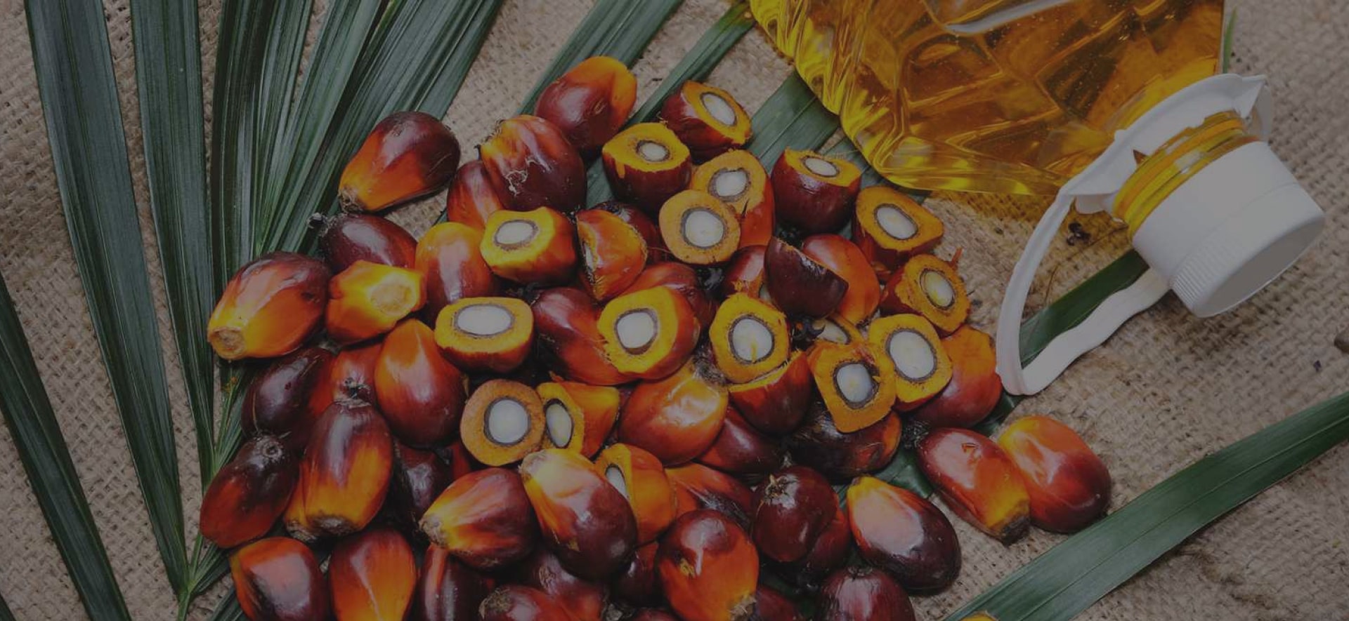 Palm Oil / Edible Oil / Oleochemicals